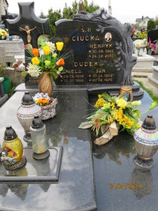 Zdjęcie grobu 209-2010