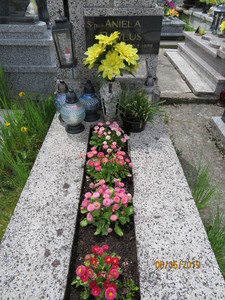 Zdjęcie grobu 623