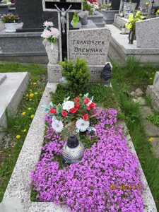 Zdjęcie grobu 687