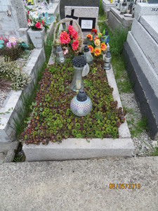 Zdjęcie grobu 859