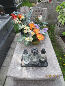 Zdjęcie grobu 871