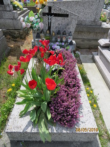Zdjęcie grobu 957